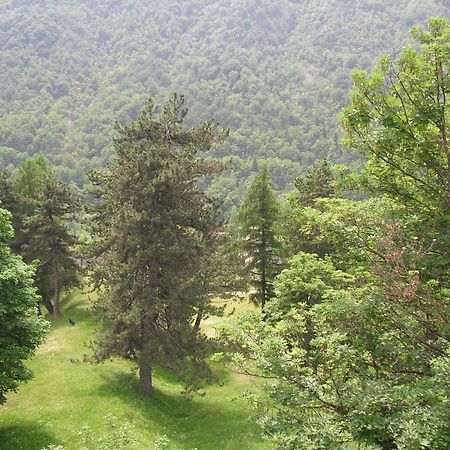 Chalet Monte Nebius Vinadio Exterior foto