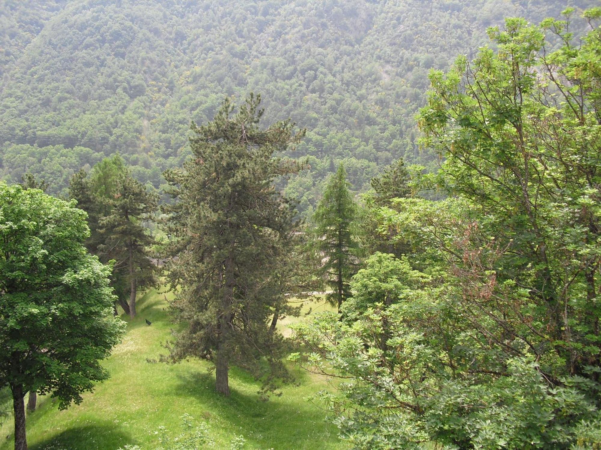 Chalet Monte Nebius Vinadio Exterior foto