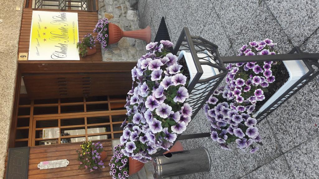 Chalet Monte Nebius Vinadio Exterior foto