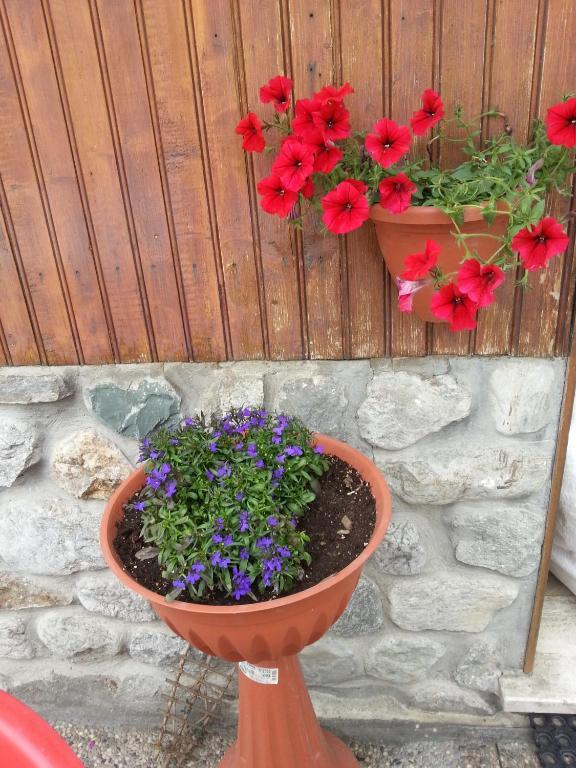 Chalet Monte Nebius Vinadio Exterior foto